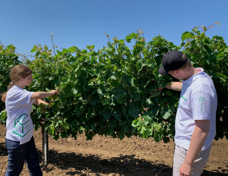 Агрофирма «Южная» приняла на практику 45 студентов