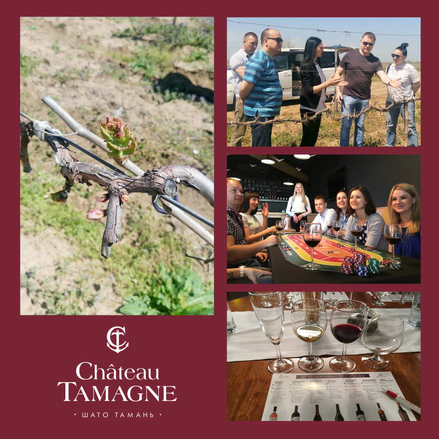 Винодельня «Кубань-Вино» запустила новый туристический проект - комплексные «Винные туры»