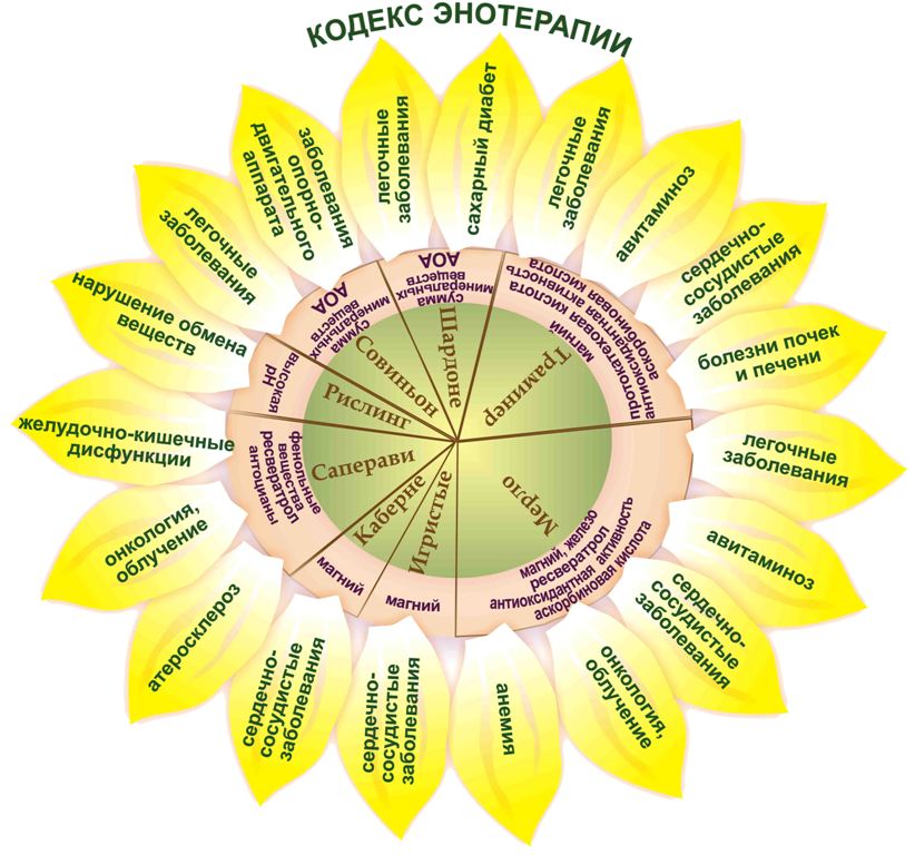 Энотерапия на Кубани набирает обороты