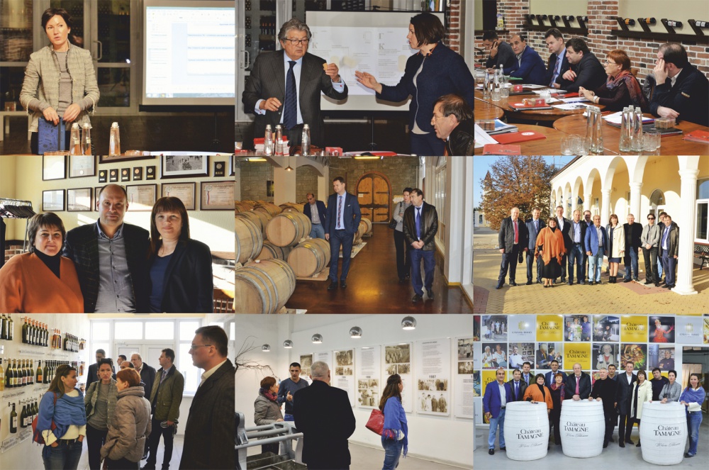 16 октября на винодельне «Кубань-Вино» состоялось XVII-е Общее Собрание Ассоциации Производителей Игристых Вин 