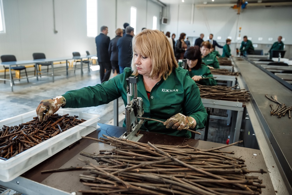 «Кубань-Вино» приняло участие в круглом столе, посвященном перспективам развития агропромышленного комплекса Краснодарского края