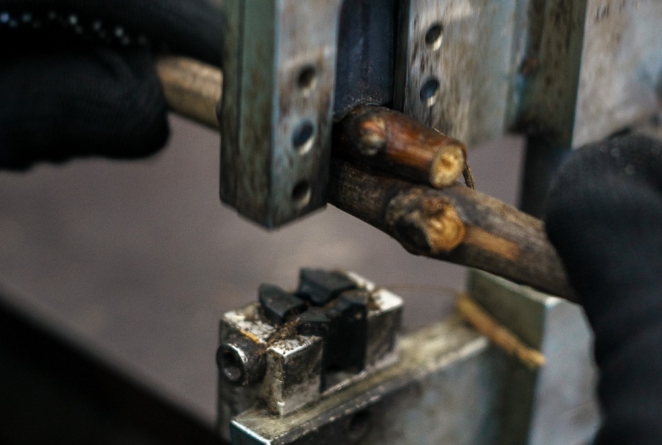 Питомник агрофирмы «Южная» в 2023 году произведет 2,7 млн саженцев