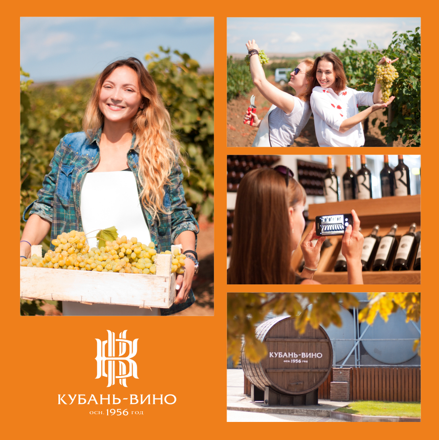 Журналисты и блогеры посетили винодельню «Кубань-Вино»