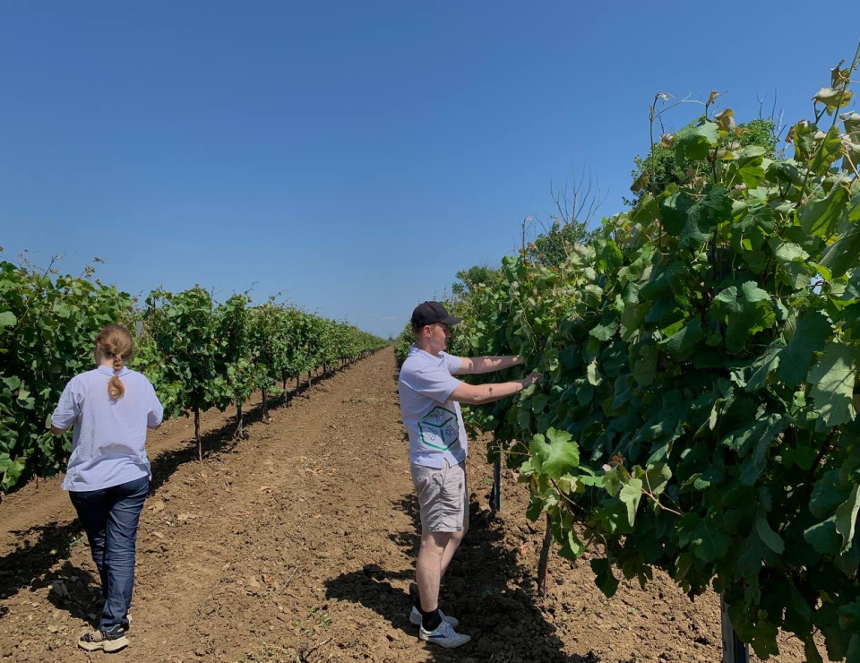 Агрофирма «Южная» приняла на практику 45 студентов