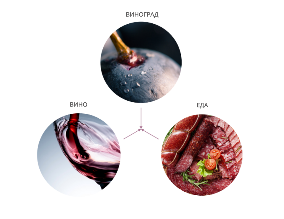 Группа компаний «Ариант»: новый вектор развития