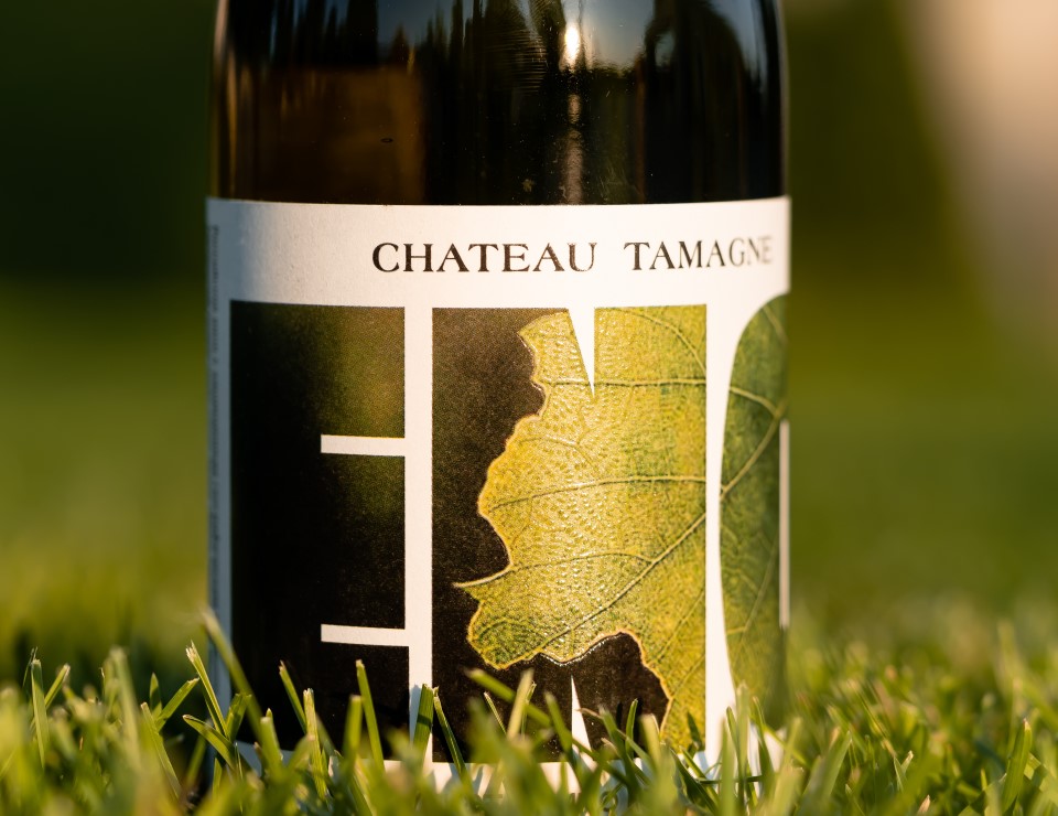 «Кубань-Вино» и METRO выпустили совместную линейку вин ENO