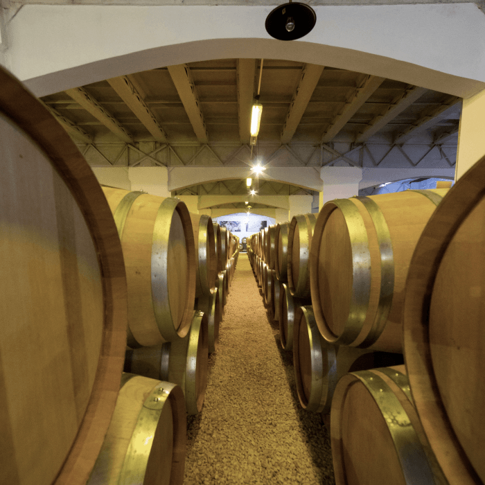 Мастер-класс Премиум в Центре классического виноделия