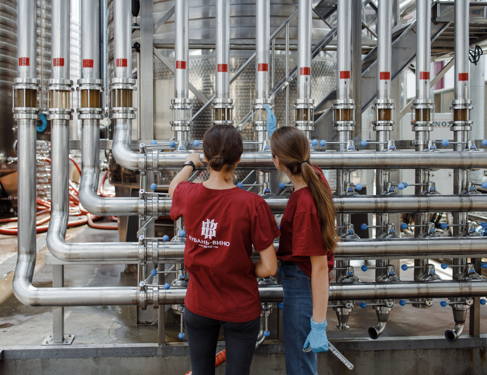 Более 120 российских студентов пройдут практику в «Кубань-Вино»