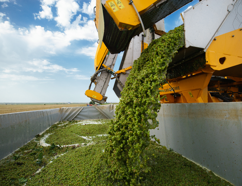 ГК «Ариант» в 2023 году увеличила объемы производства