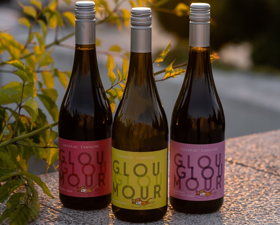 Винодельня «Кубань-Вино» выпустила вина в стиле Glou Glou