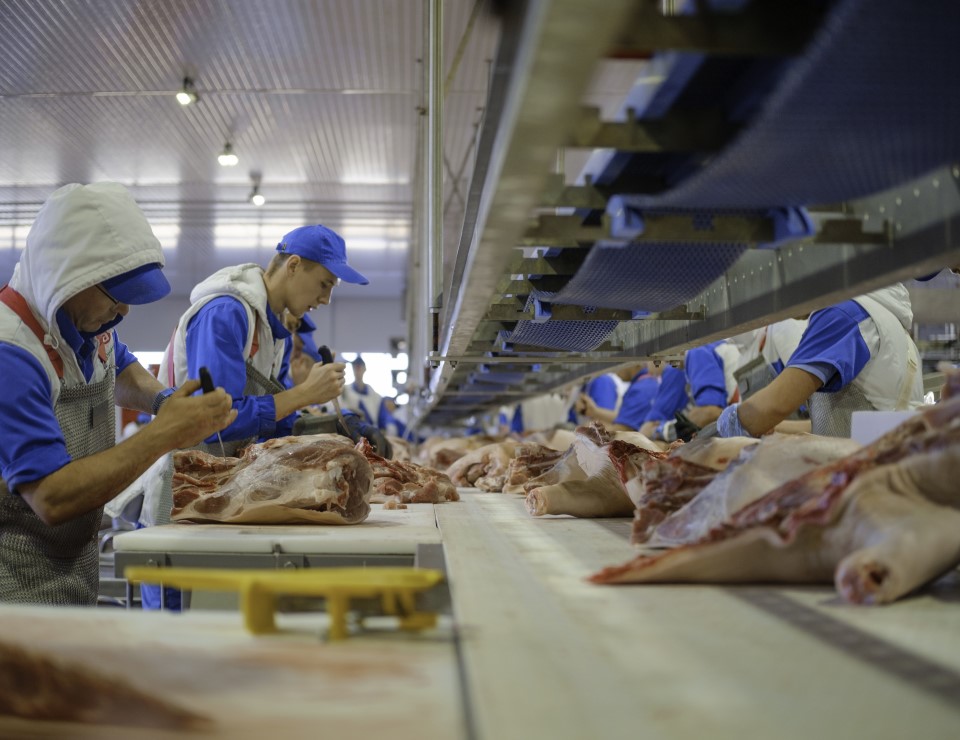 ГК «Ариант» в 2023 году увеличила объемы производства