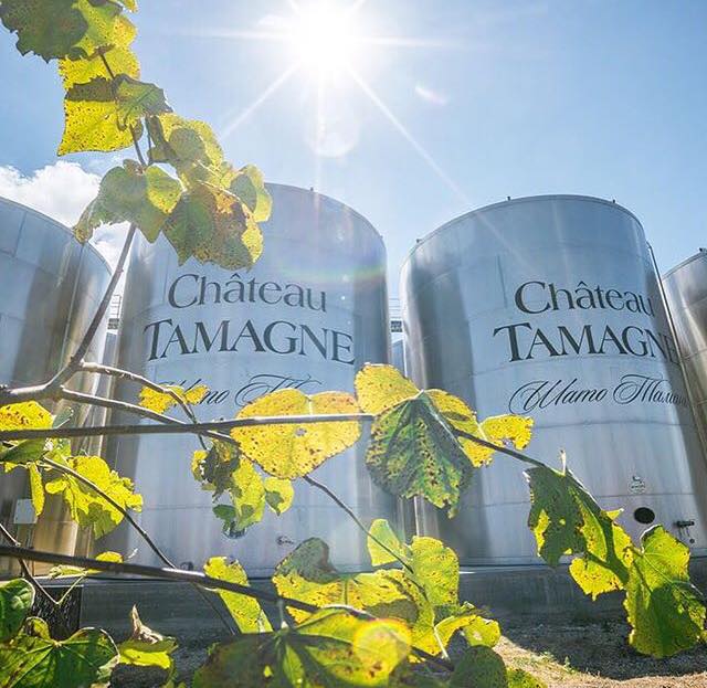 Интервью с Викторией Емельянович для специального выпуска журнала ТОП25 «Шато Тамань»