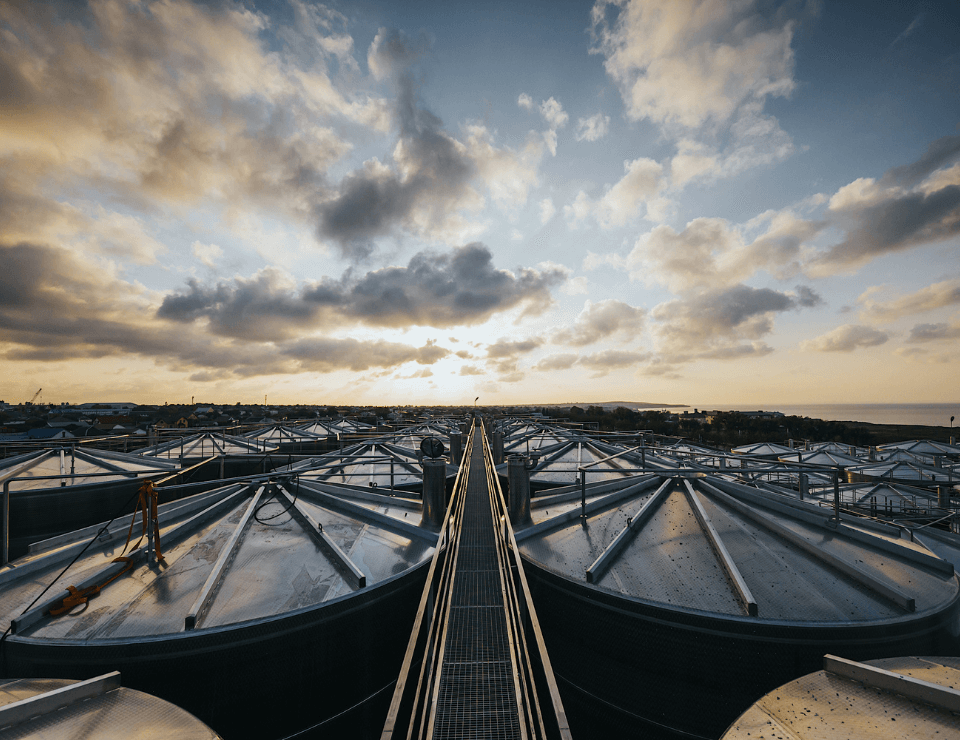 ГК «Ариант» в 2020 году произвела более 90 млн бутылок вина