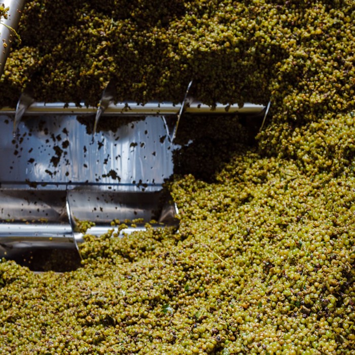 Винно-интеллектуальная игра ЧТО? ГДЕ? ВИНО!