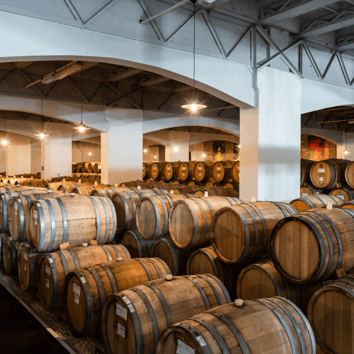 Мастер-класс Премиум в Центре классического виноделия