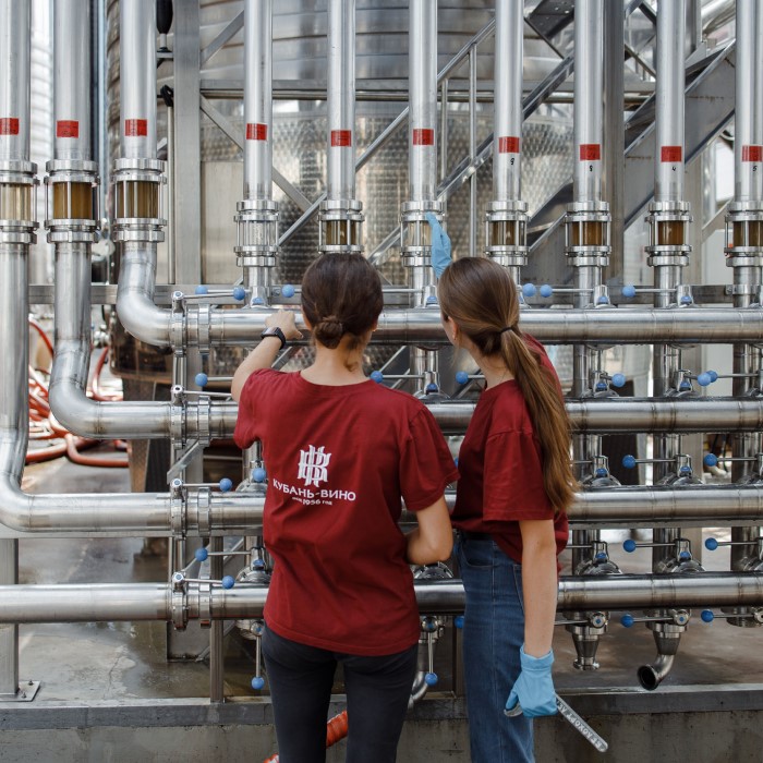 Винно-интеллектуальная игра ЧТО? ГДЕ? ВИНО!