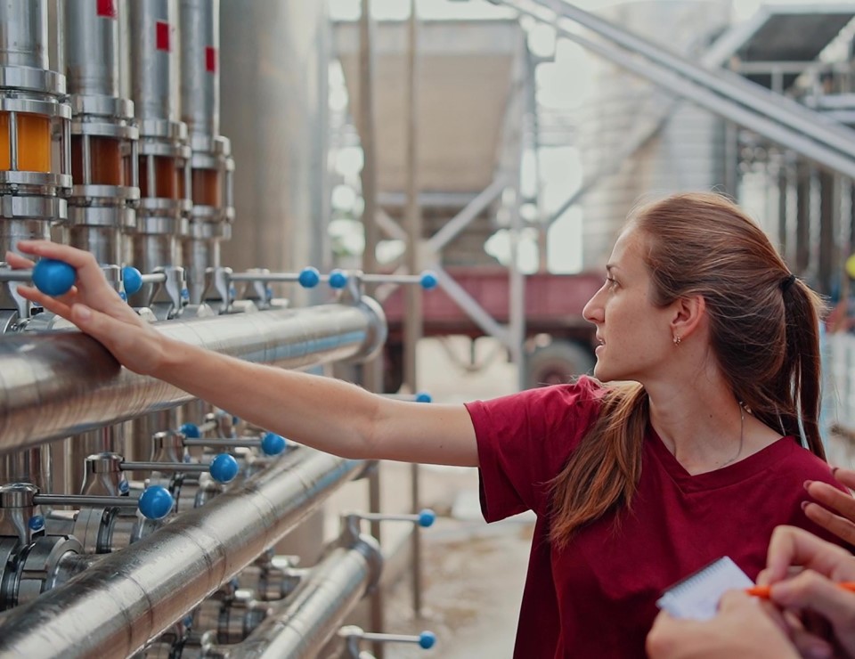 Студенты-практиканты создадут свое вино в Центре энологии Chateau Tamagne