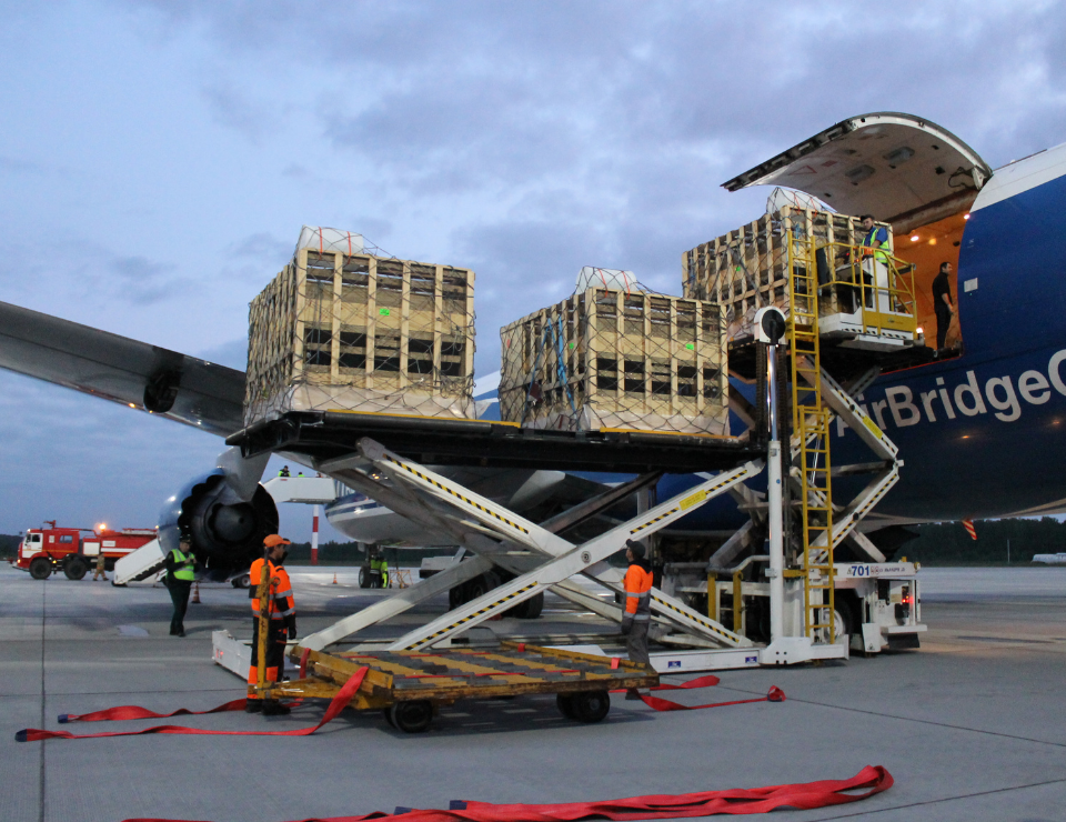 Агрофирма «Ариант» взяла курс на повышение качества племенного поголовья