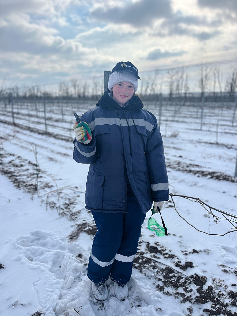 Агрофирма «Южная» планирует принять в 2025 году в два раза больше  студентов-практикантов