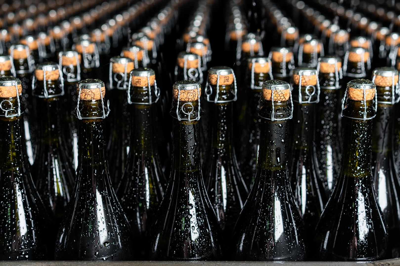 Интервью с Ириной Голышевой для специального журнала Топ25 «Шато Тамань в лицах»