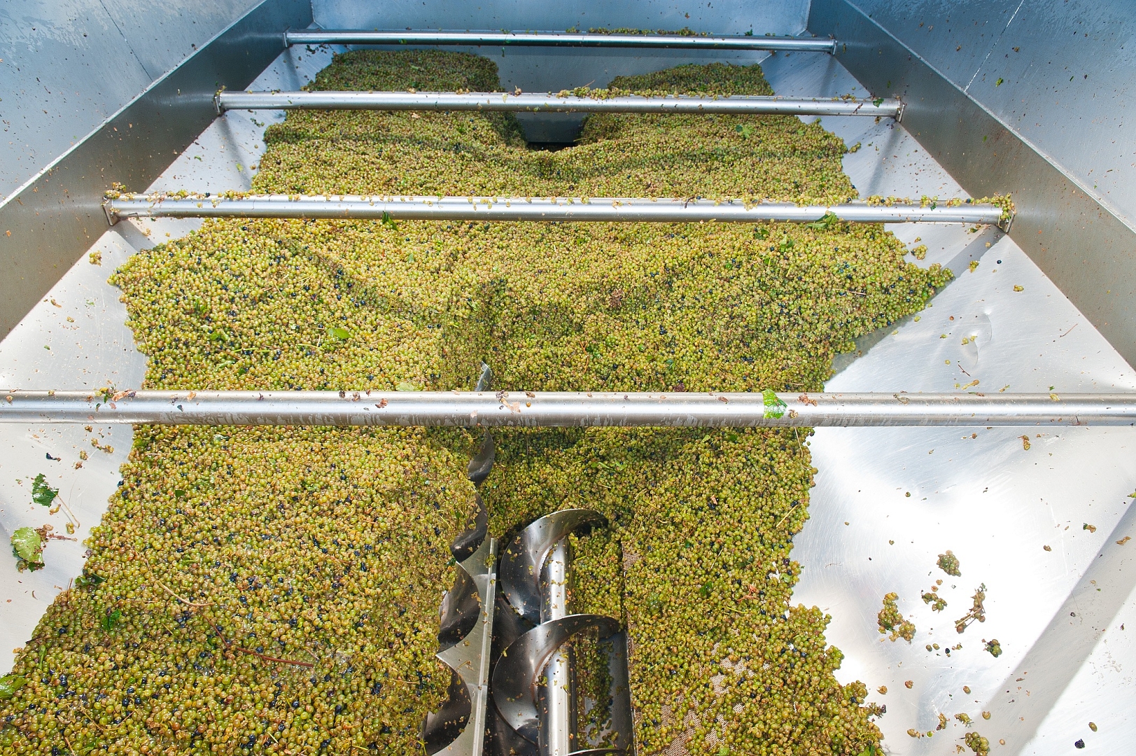 Проект спутникового мониторинга производства вина в Краснодарском крае одержал победу в международном конкурсе 